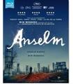 ANSELM - BD (BR)