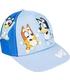 gorra-visera-curva-bluey