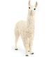 llama