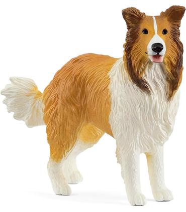 collie-perro