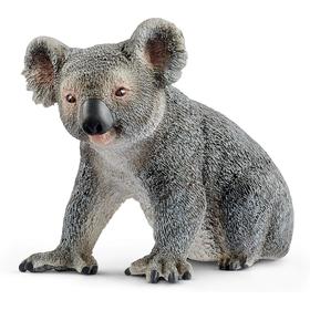 koala-macho