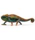 camaleon