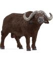 Bufalo Africano