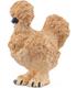 gallina-silkie