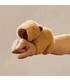 capybara-peliche-brazalete