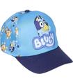 Gorra Visera Curva Bluey