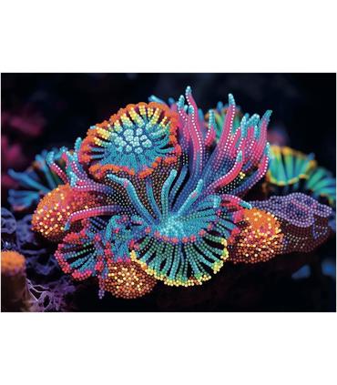 diamantiny-level-up-medusa