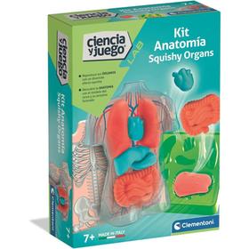 kit-anatomia-squishy-organs