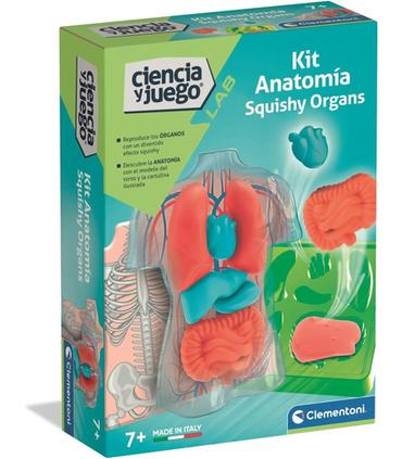 kit-anatomia-squishy-organs