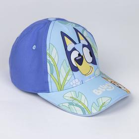 gorra-bluey