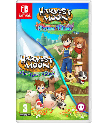 harvest-moon-lost-valley-skytree-village-switch