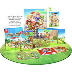 harvest-moon-lost-valley-skytree-village-collector-switch