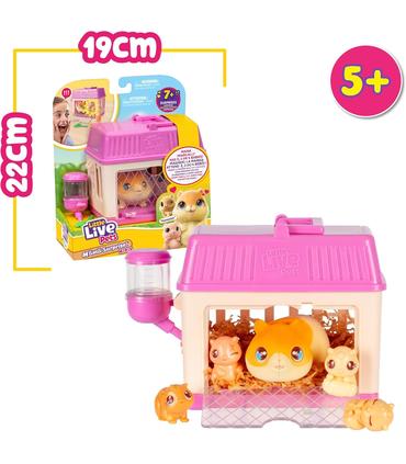 hamster-llp-mini-mama-surprise