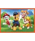 cubos-6-uds-paw-patrol-4