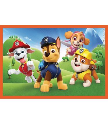 cubos-6-uds-paw-patrol-4