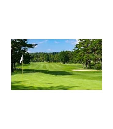 golden-tee-arcade-classics-ps5