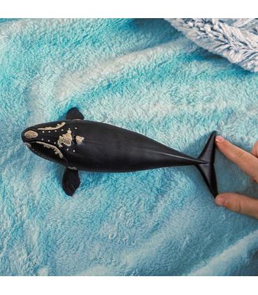 ballena-franca-glacial