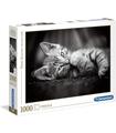 Puzzle 1000 Piezas Kitty Adulto