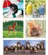 puzzle-10-en-1-noli-animal-friends
