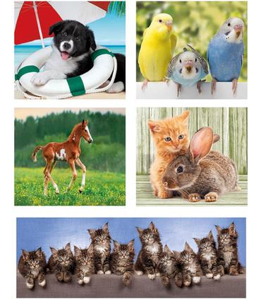 puzzle-10-en-1-noli-animal-friends