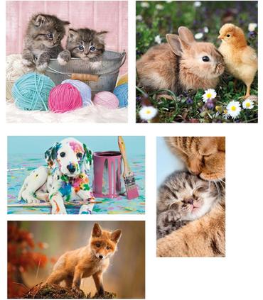 puzzle-10-en-1-noli-animal-friends