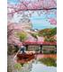 puzzle-1000-piezas-himeji-castle-in-spring