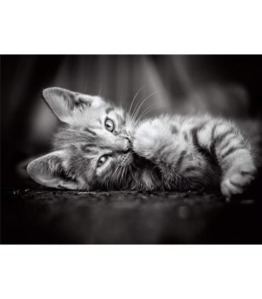 puzzle-1000-piezas-kitty-adulto