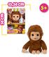 little-live-pets-my-baby-monkey
