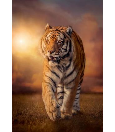 puzzle-1000-cb-tiger