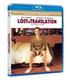 lost-in-translation-bd-br