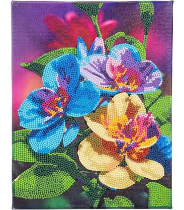 diamantiny-level-up-pop-orquidea