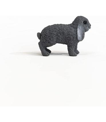 conejo-de-orejas-largas