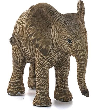 cria-de-elefante-africano