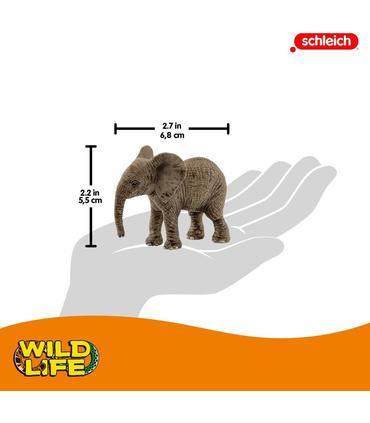 cria-de-elefante-africano