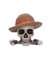 CAJA JOLLY ROGER LUFFY ONE PIECE