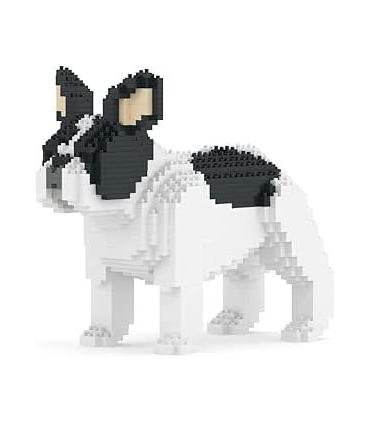 bulldog-frances-02s-m04