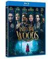 INTO DE WOODS - BD (BR)