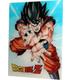 poster-de-vidrio-goku-kame-dragon-ball-z