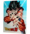 Poster de Vidrio Goku Kame Dragon Ball Z