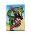 Iman Shenron Y Goku Dragon Ball