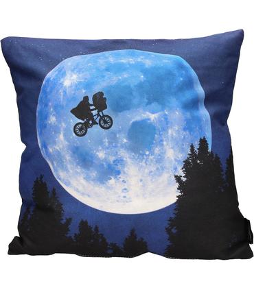 cojin-cuadrado-poster-et-envasado-vacio