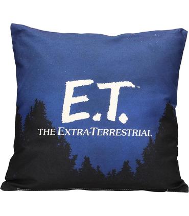 cojin-cuadrado-poster-et-envasado-vacio