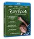 boyhood-bd-br