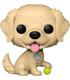 figura-funko-pop-pets-pets-s3-golden-retriever