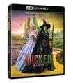 WICKED - PARTE II (4K UHD + BD) - B (BR)