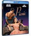 PICNIC - BD (BR)
