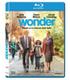 wonder-bd-br