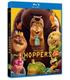 hoppers-bd-br
