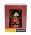 GLOBO DE NIEVE MICKEY YOUNG A. ESTUCHE