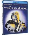 VIVIR UN GRAN AMOR